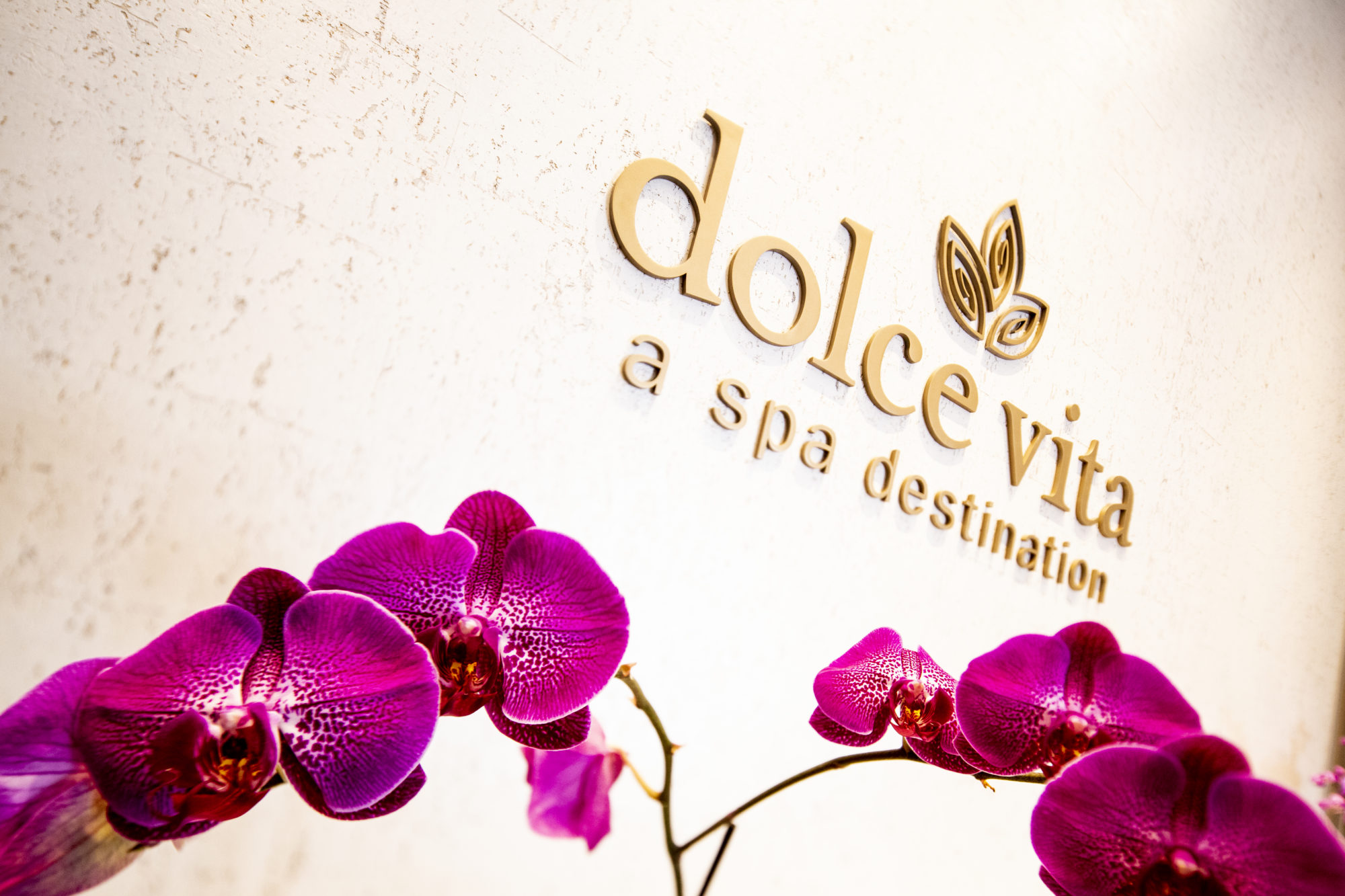 Dolce Vita Logo