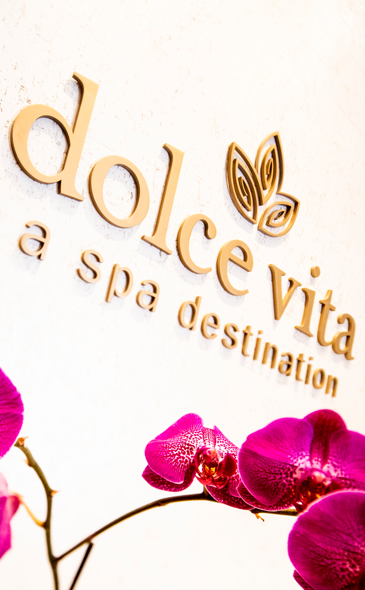 Dolce Vita Wall Logo