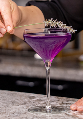 Cocktail